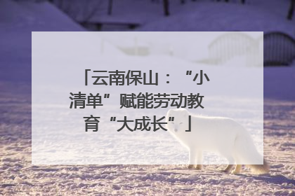 云南保山：“小清单”赋能劳动教育“大成长”