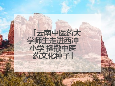云南中医药大学师生走进西冲小学 播撒中医药文化种子