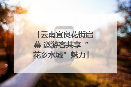 云南宜良花街启幕 邀游客共享“花乡水城”魅力