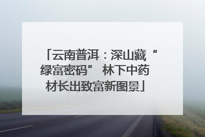 云南普洱：深山藏“绿富密码” 林下中药材长出致富新图景