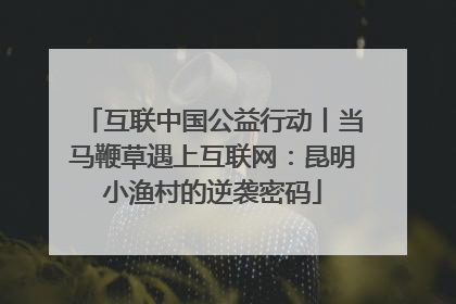 互联中国公益行动丨当马鞭草遇上互联网：昆明小渔村的逆袭密码