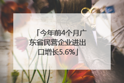 今年前4个月广东省民营企业进出口增长5.6%