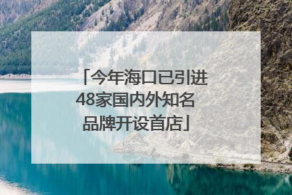 今年海口已引进48家国内外知名品牌开设首店