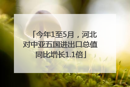 今年1至5月，河北对中亚五国进出口总值同比增长1.1倍