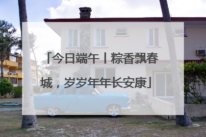 今日端午丨粽香飘春城，岁岁年年长安康