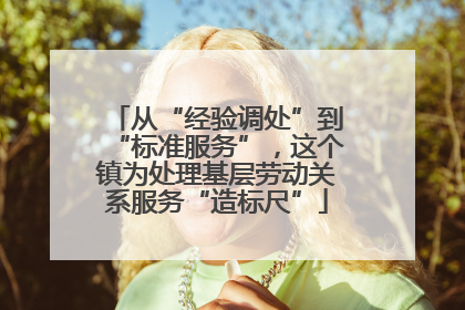 从“经验调处”到“标准服务”，这个镇为处理基层劳动关系服务“造标尺”