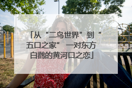 从“二鸟世界”到“五口之家” 一对东方白鹳的黄河口之恋