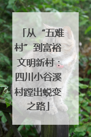 从“五难村”到富裕文明新村：四川小谷溪村蹚出蜕变之路
