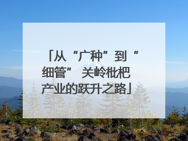 从“广种”到“细管” 关岭枇杷产业的跃升之路