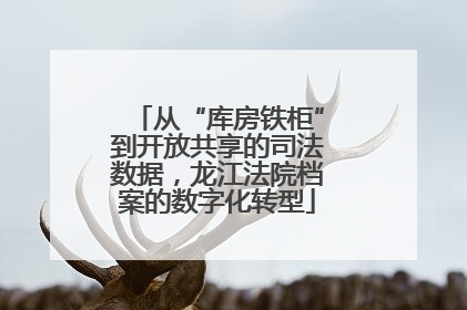 从“库房铁柜”到开放共享的司法数据，龙江法院档案的数字化转型