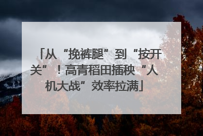 从“挽裤腿”到“按开关”！高青稻田插秧“人机大战”效率拉满