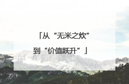 从“无米之炊”到“价值跃升”