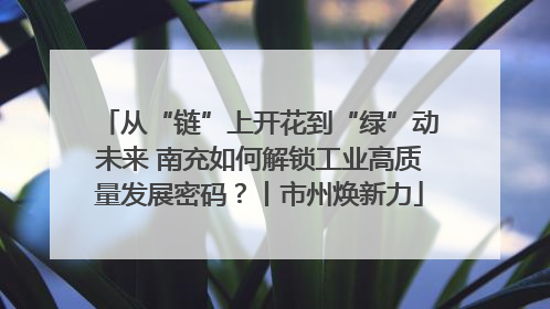 从“链”上开花到“绿”动未来 南充如何解锁工业高质量发展密码？丨市州焕新力