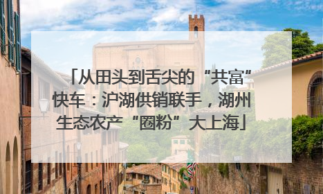 从田头到舌尖的“共富”快车：沪湖供销联手，湖州生态农产“圈粉”大上海