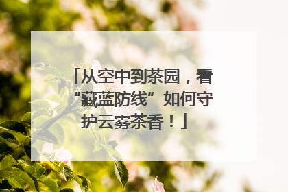 从空中到茶园，看“藏蓝防线”如何守护云雾茶香！
