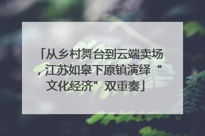 从乡村舞台到云端卖场，江苏如皋下原镇演绎“文化经济”双重奏