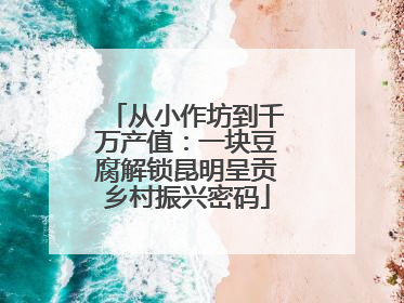 从小作坊到千万产值：一块豆腐解锁昆明呈贡乡村振兴密码