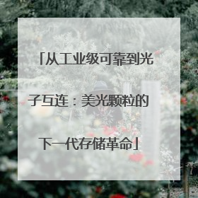从工业级可靠到光子互连：美光颗粒的下一代存储革命