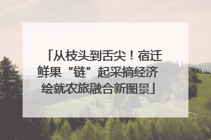 从枝头到舌尖！宿迁鲜果“链”起采摘经济绘就农旅融合新图景