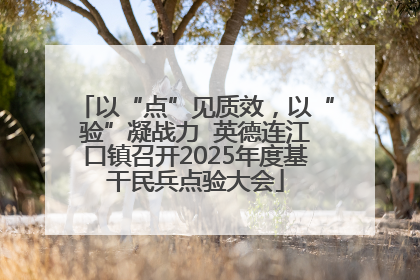 以“点”见质效，以“验”凝战力  英德连江口镇召开2025年度基干民兵点验大会