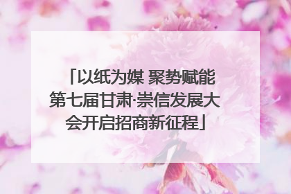 以纸为媒 聚势赋能 第七届甘肃·崇信发展大会开启招商新征程