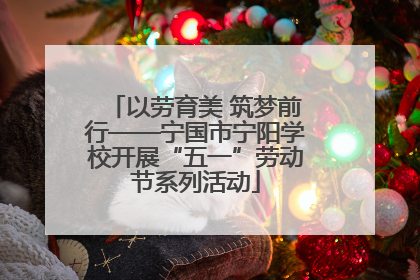 以劳育美 筑梦前行——宁国市宁阳学校开展“五一”劳动节系列活动