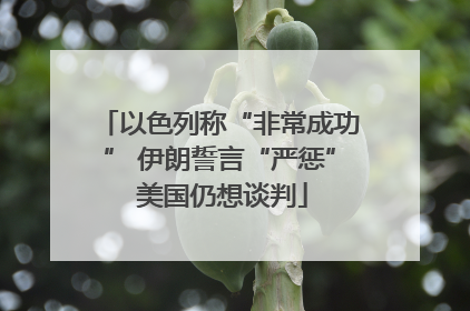 以色列称“非常成功” 伊朗誓言“严惩” 美国仍想谈判