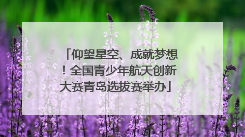 仰望星空、成就梦想！全国青少年航天创新大赛青岛选拔赛举办