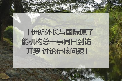 伊朗外长与国际原子能机构总干事同日到访开罗 讨论伊核问题