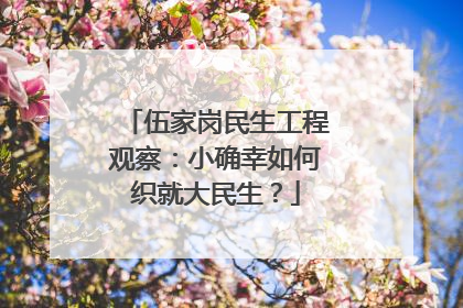 伍家岗民生工程观察：小确幸如何织就大民生？