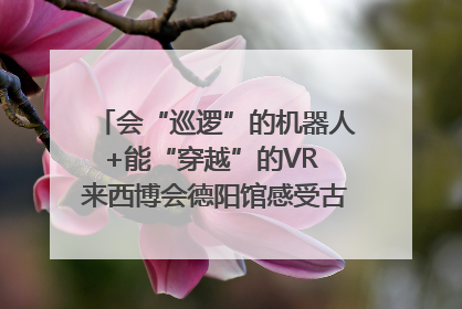 会“巡逻”的机器人+能“穿越”的VR 来西博会德阳馆感受古蜀文明与现代智造的时空对话｜西博视界