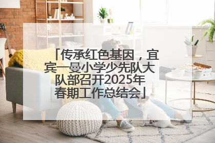传承红色基因，宜宾一曼小学少先队大队部召开2025年春期工作总结会