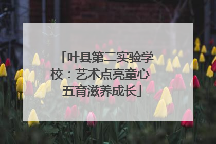 叶县第二实验学校：艺术点亮童心 五育滋养成长