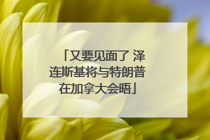 又要见面了 泽连斯基将与特朗普在加拿大会晤