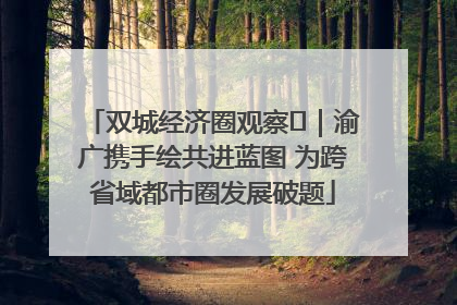 双城经济圈观察㊺｜渝广携手绘共进蓝图 为跨省域都市圈发展破题