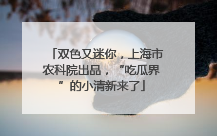 双色又迷你，上海市农科院出品，“吃瓜界”的小清新来了