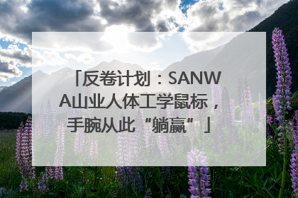 反卷计划：SANWA山业人体工学鼠标，手腕从此“躺赢”