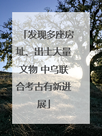 发现多座房址、出土大量文物 中乌联合考古有新进展