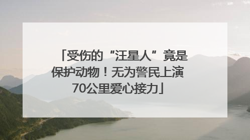 受伤的“汪星人”竟是保护动物！无为警民上演70公里爱心接力