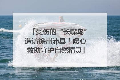 受伤的“长嘴鸟”造访徐州沛县！暖心救助守护自然精灵