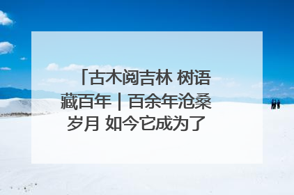 古木阅吉林 树语藏百年｜百余年沧桑岁月 如今它成为了“镇园之宝”