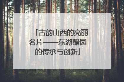 古韵山西的亮丽名片——东湖醋园的传承与创新