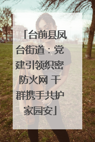 台前县凤台街道：党建引领织密防火网 干群携手共护家园安