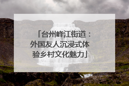 台州峰江街道：外国友人沉浸式体验乡村文化魅力
