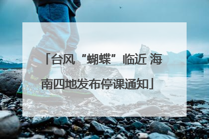 台风“蝴蝶”临近 海南四地发布停课通知