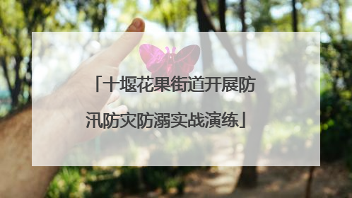 十堰花果街道开展防汛防灾防溺实战演练