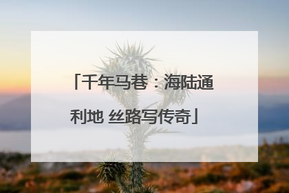 千年马巷：海陆通利地 丝路写传奇