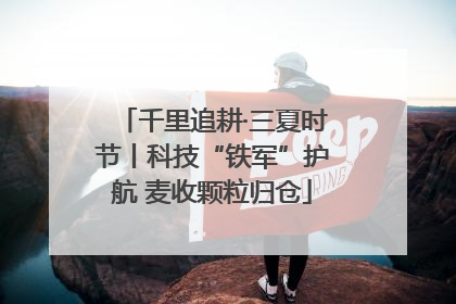 千里追耕·三夏时节丨科技“铁军”护航 麦收颗粒归仓