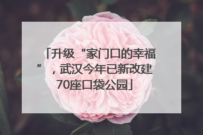 升级“家门口的幸福”，武汉今年已新改建70座口袋公园