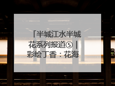 半城江水半城花系列报道⑤｜彩绘丁香：花海映照一座城